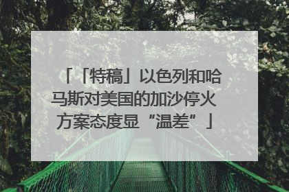 「特稿」以色列和哈马斯对美国的加沙停火方案态度显“温差”