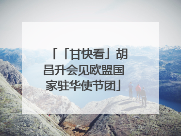 「甘快看」胡昌升会见欧盟国家驻华使节团