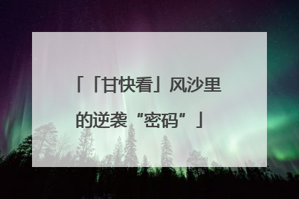「甘快看」风沙里的逆袭“密码”