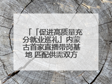 「促进高质量充分就业巡礼」内蒙古首家直播带岗基地 匹配供需双方 促进上岗就业