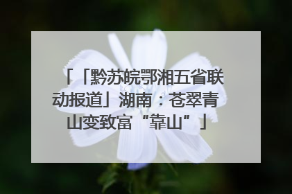 「黔苏皖鄂湘五省联动报道」湖南：苍翠青山变致富“靠山”