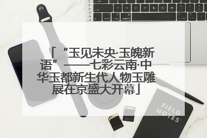 “玉见未央·玉魄新语”——七彩云南·中华玉都新生代人物玉雕展在京盛大开幕