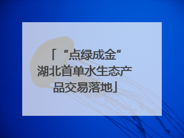 “点绿成金” 湖北首单水生态产品交易落地