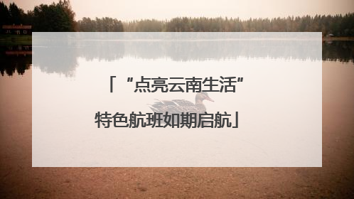 “点亮云南生活”特色航班如期启航