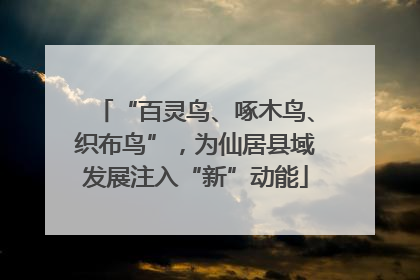 “百灵鸟、啄木鸟、织布鸟”，为仙居县域发展注入“新”动能