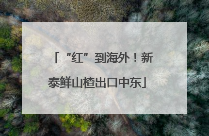 “红”到海外！新泰鲜山楂出口中东