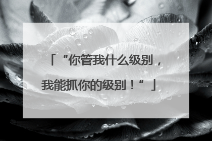 “你管我什么级别，我能抓你的级别！”