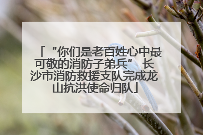“你们是老百姓心中最可敬的消防子弟兵” 长沙市消防救援支队完成龙山抗洪使命归队