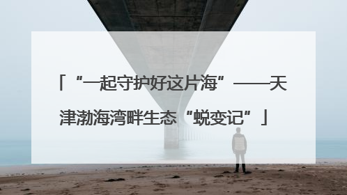 “一起守护好这片海”——天津渤海湾畔生态“蜕变记”