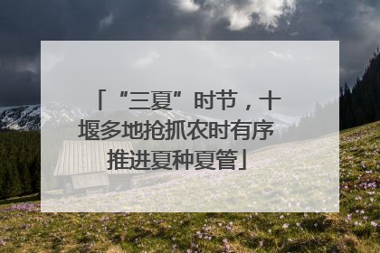 “三夏”时节，十堰多地抢抓农时有序推进夏种夏管
