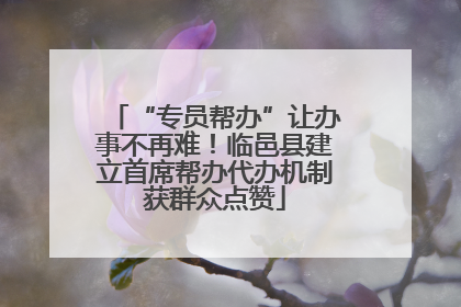“专员帮办”让办事不再难！临邑县建立首席帮办代办机制获群众点赞