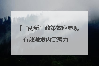 “两新”政策效应显现 有效激发内需潜力