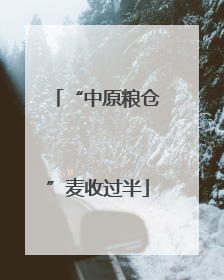 “中原粮仓”麦收过半