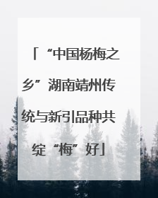 “中国杨梅之乡”湖南靖州传统与新引品种共绽“梅”好