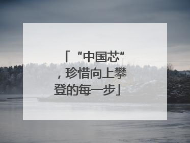 “中国芯”，珍惜向上攀登的每一步
