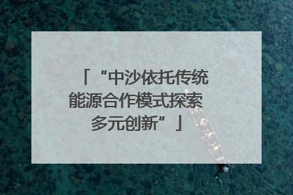 “中沙依托传统能源合作模式探索多元创新”