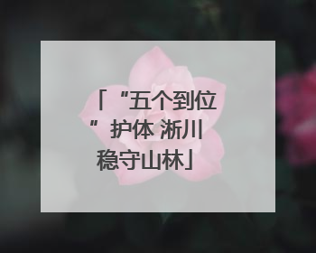 “五个到位”护体 淅川稳守山林