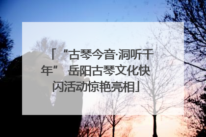 “古琴今音·洞听千年” 岳阳古琴文化快闪活动惊艳亮相