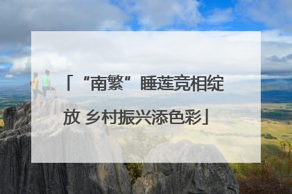 “南繁”睡莲竞相绽放 乡村振兴添色彩
