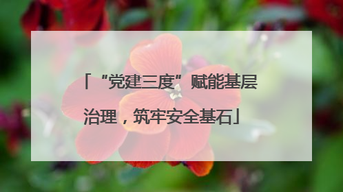 “党建三度”赋能基层治理，筑牢安全基石