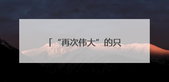 “再次伟大”的只有总统家的生意