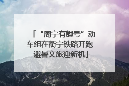 “周宁有鲤号”动车组在衢宁铁路开跑 避暑文旅迎新机