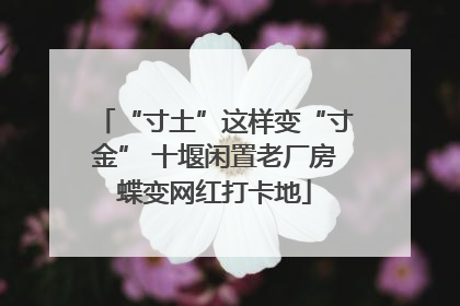 “寸土”这样变“寸金” 十堰闲置老厂房蝶变网红打卡地