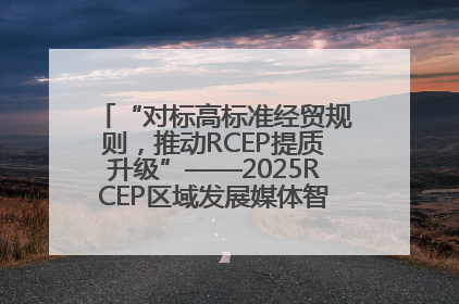 “对标高标准经贸规则，推动RCEP提质升级”——2025RCEP区域发展媒体智库论坛举行专题对话