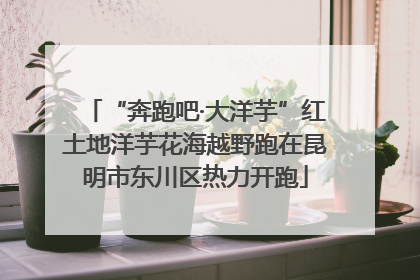 “奔跑吧·大洋芋”红土地洋芋花海越野跑在昆明市东川区热力开跑