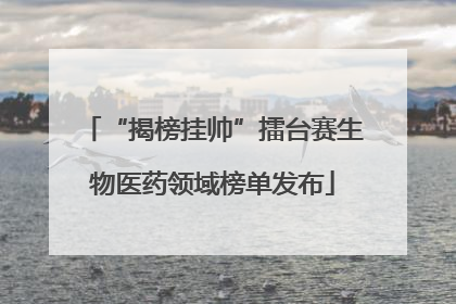 “揭榜挂帅”擂台赛生物医药领域榜单发布