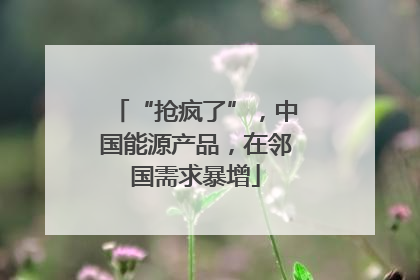 “抢疯了”，中国能源产品，在邻国需求暴增