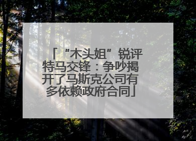 “木头姐”锐评特马交锋：争吵揭开了马斯克公司有多依赖政府合同