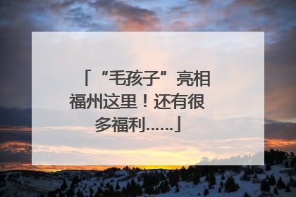 “毛孩子”亮相福州这里！还有很多福利……