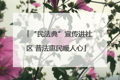 “民法典”宣传进社区 普法惠民暖人心