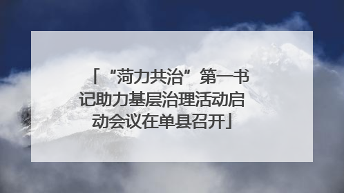 “菏力共治”第一书记助力基层治理活动启动会议在单县召开
