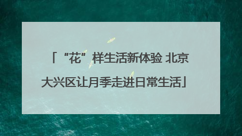 “花”样生活新体验 北京大兴区让月季走进日常生活