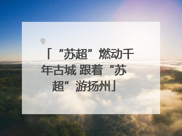 “苏超”燃动千年古城 跟着“苏超”游扬州
