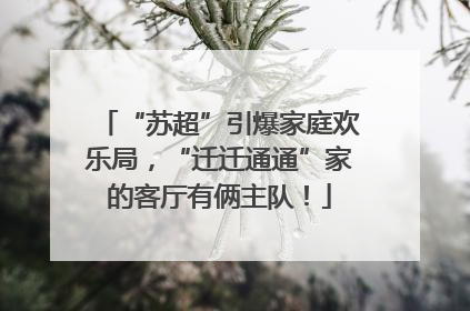 “苏超”引爆家庭欢乐局，“迁迁通通”家的客厅有俩主队！