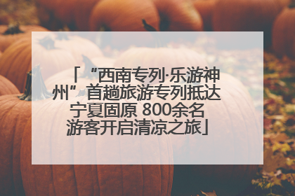 “西南专列·乐游神州”首趟旅游专列抵达宁夏固原 800余名游客开启清凉之旅