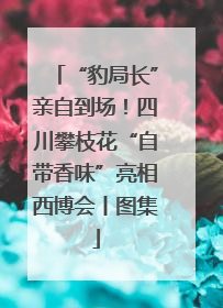 “豹局长”亲自到场！四川攀枝花“自带香味”亮相西博会丨图集