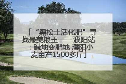 “黑松土活化肥”寻找最美粮王——濮阳站：碱地变肥地 濮阳小麦亩产1500多斤