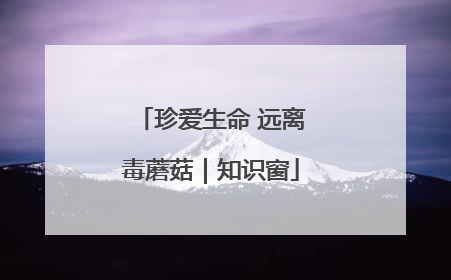 珍爱生命 远离毒蘑菇｜知识窗