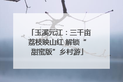 玉溪元江：三千亩荔枝映山红 解锁“甜蜜版”乡村游
