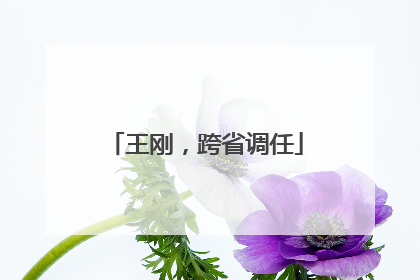 王刚，跨省调任