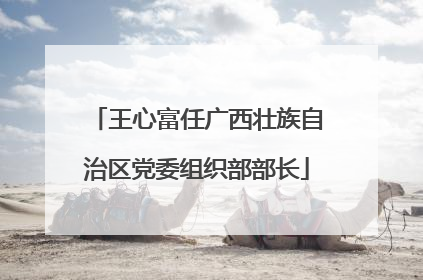 王心富任广西壮族自治区党委组织部部长