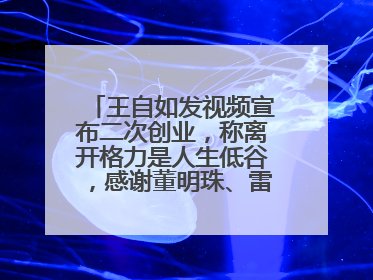 王自如发视频宣布二次创业，称离开格力是人生低谷，感谢董明珠、雷军，还回应了“工资条”：清楚自己要什么……