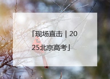 现场直击｜2025北京高考