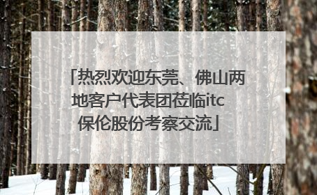 热烈欢迎东莞、佛山两地客户代表团莅临itc保伦股份考察交流