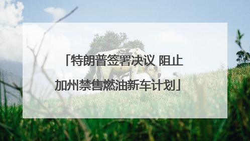 特朗普签署决议 阻止加州禁售燃油新车计划