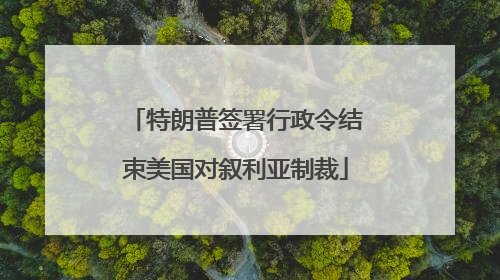 特朗普签署行政令结束美国对叙利亚制裁